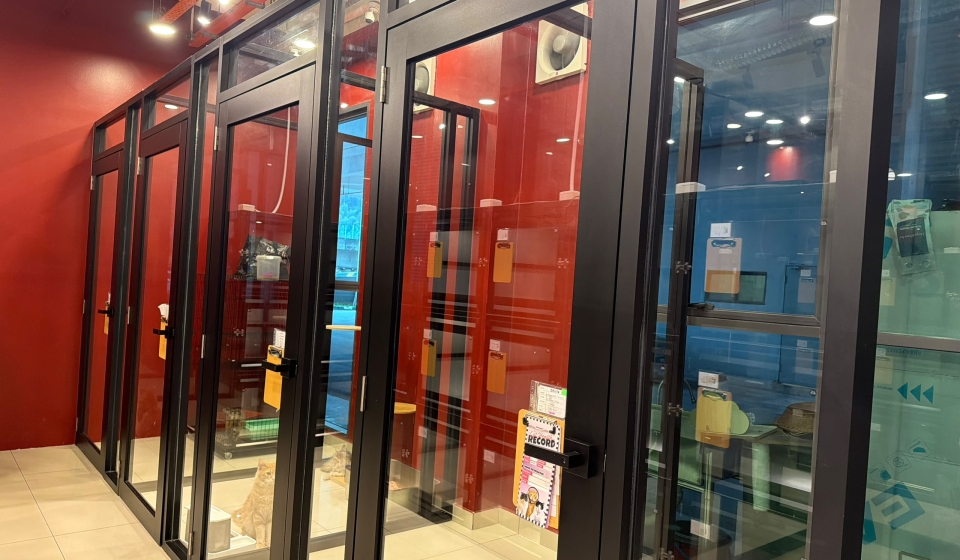 Angora Tales 14